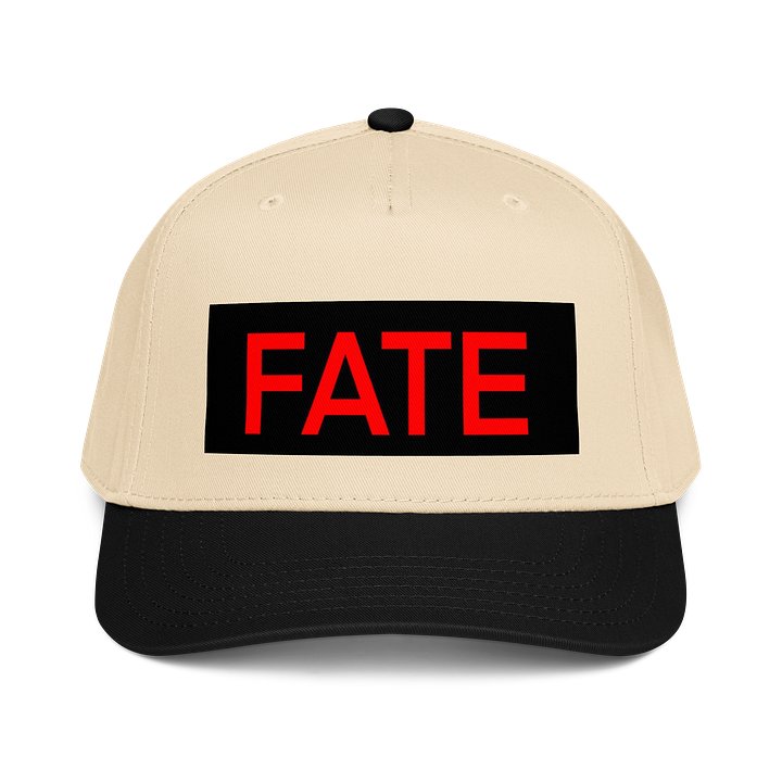 Otto Cap Mid-Profile Baseball Cap:fate 2.0 product image (5)