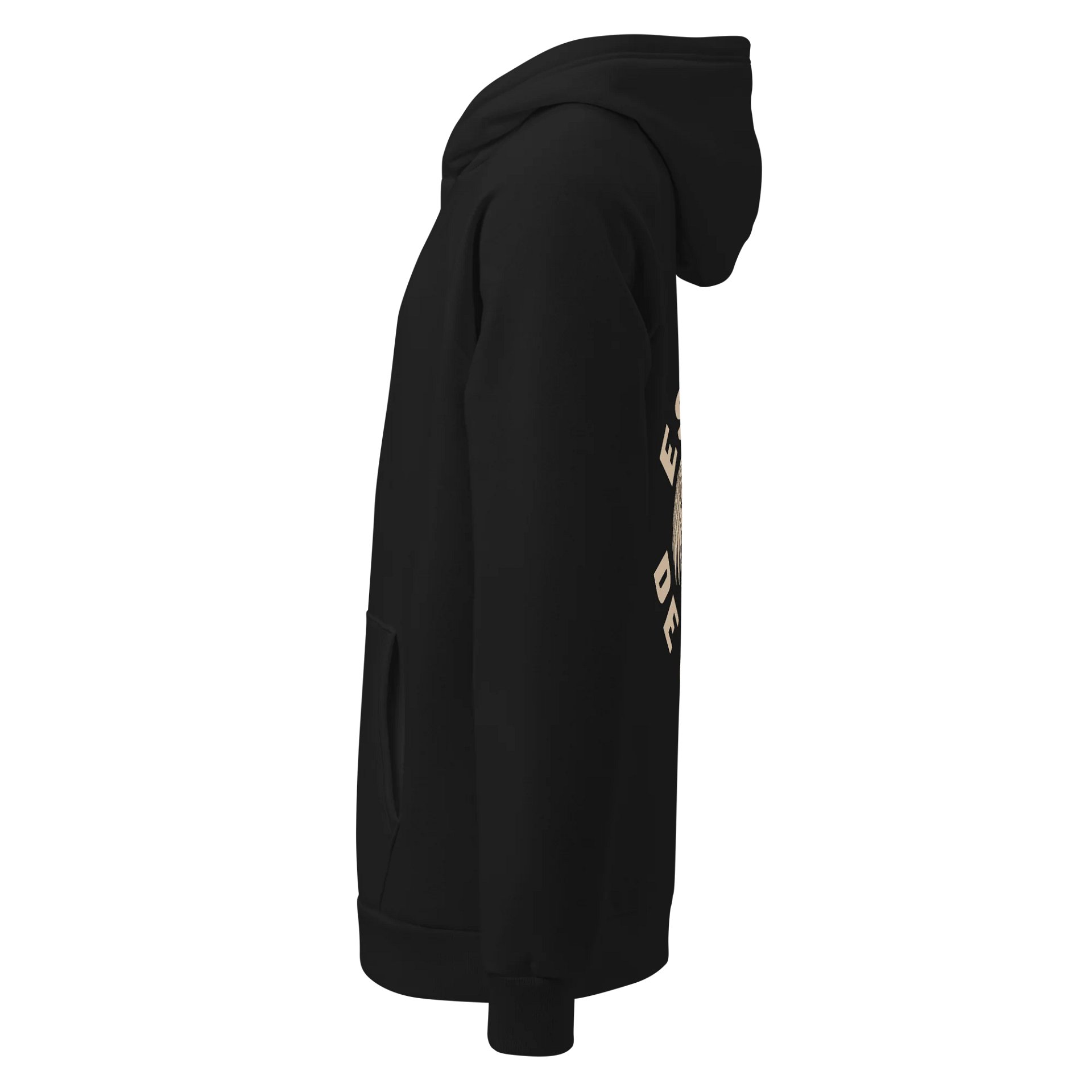 Esprit de Corps x Under Armour Performance Hoodie product image (2)