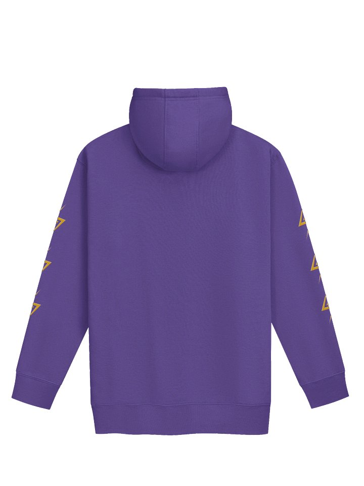 Dumbledork's Army Team Hoodie product image (7)