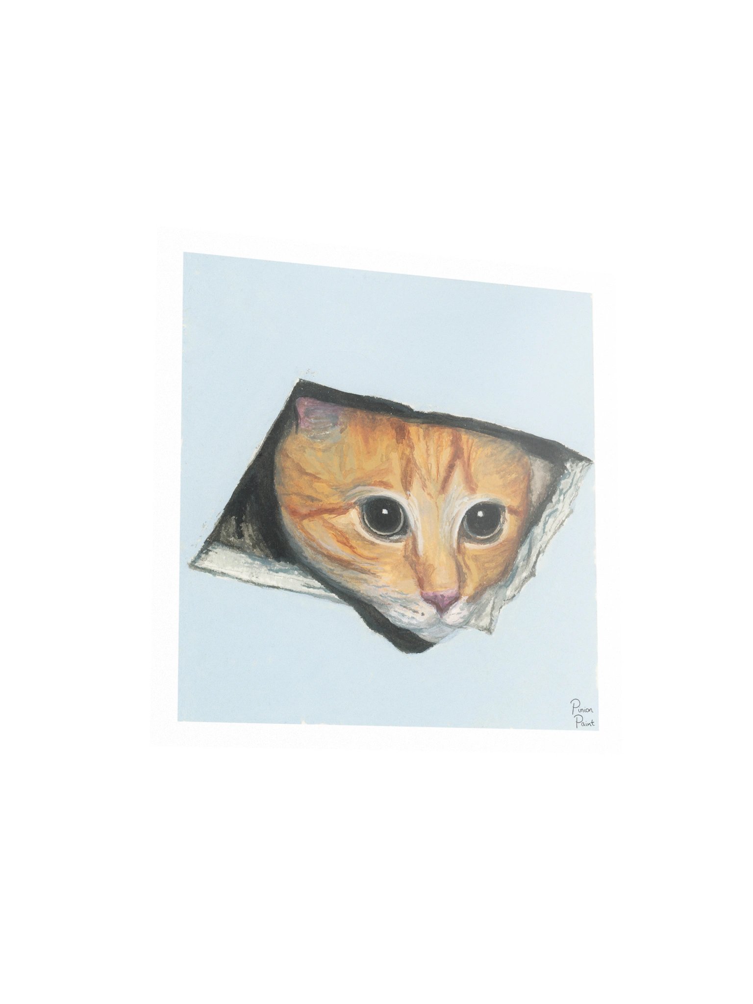 ceiling cat print product image (3)
