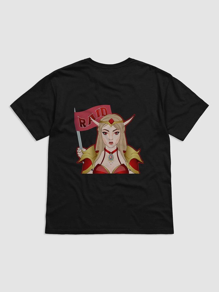 raid T product image (2)