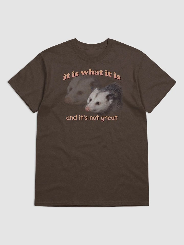 It is what it is (and it's not great) possum T-shirt product image (25)