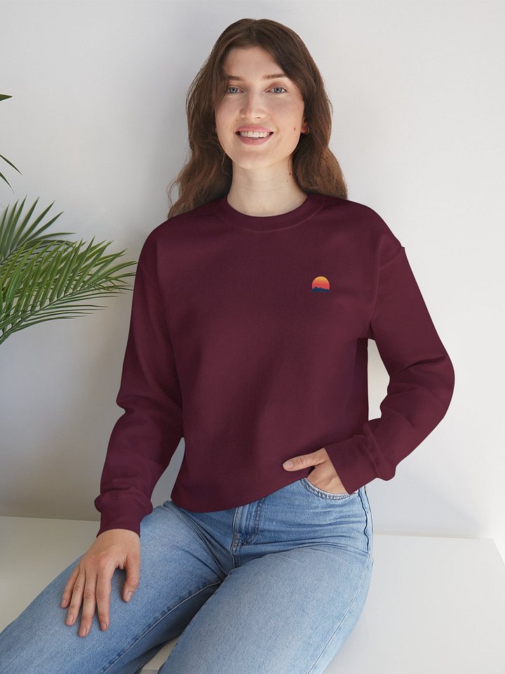 Banti Sweatshirt product image (2)