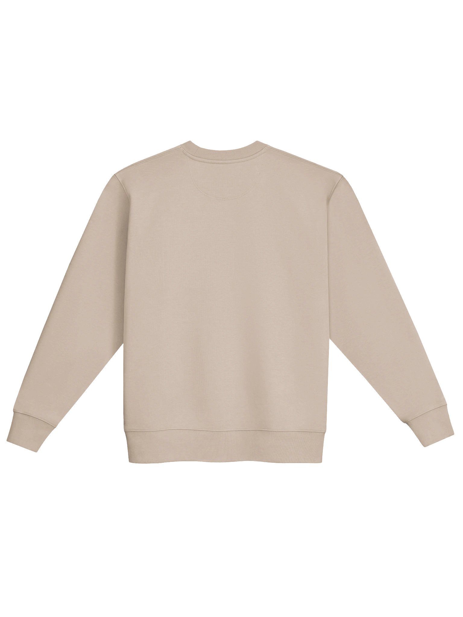 Analog Mode Heavyweight Crewneck | Desert Dust product image (2)