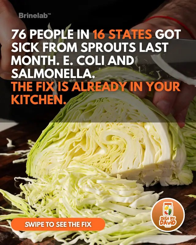 76 people across 16 states got sick from alfalfa sprouts last month. E. coli and salmonella. Proper fermentation kills those exact bacteria. A published study measured E. coli dropping 99.999% in sauerkraut in 4 days. The lactic acid the good bacteria make destroys the bad ones from the inside. The fix is cabbage, salt, and a jar. Full instructions are in the slides. One rule: fermentation cannot save food that is already spoiled. Start fresh. Check out my complete fermentation guide through the LINK IN MY BIO.