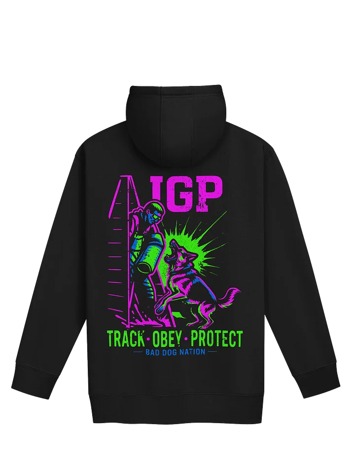 IGP 80's vintage bright - Premium Adult Unisex Hoodie product image (1)