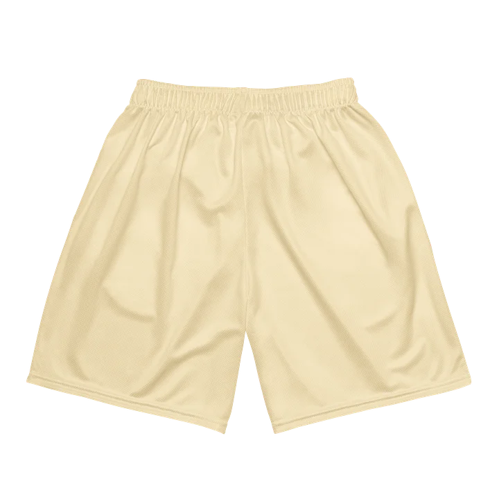 Bristol Orange Brigade Away Shorts product image (2)
