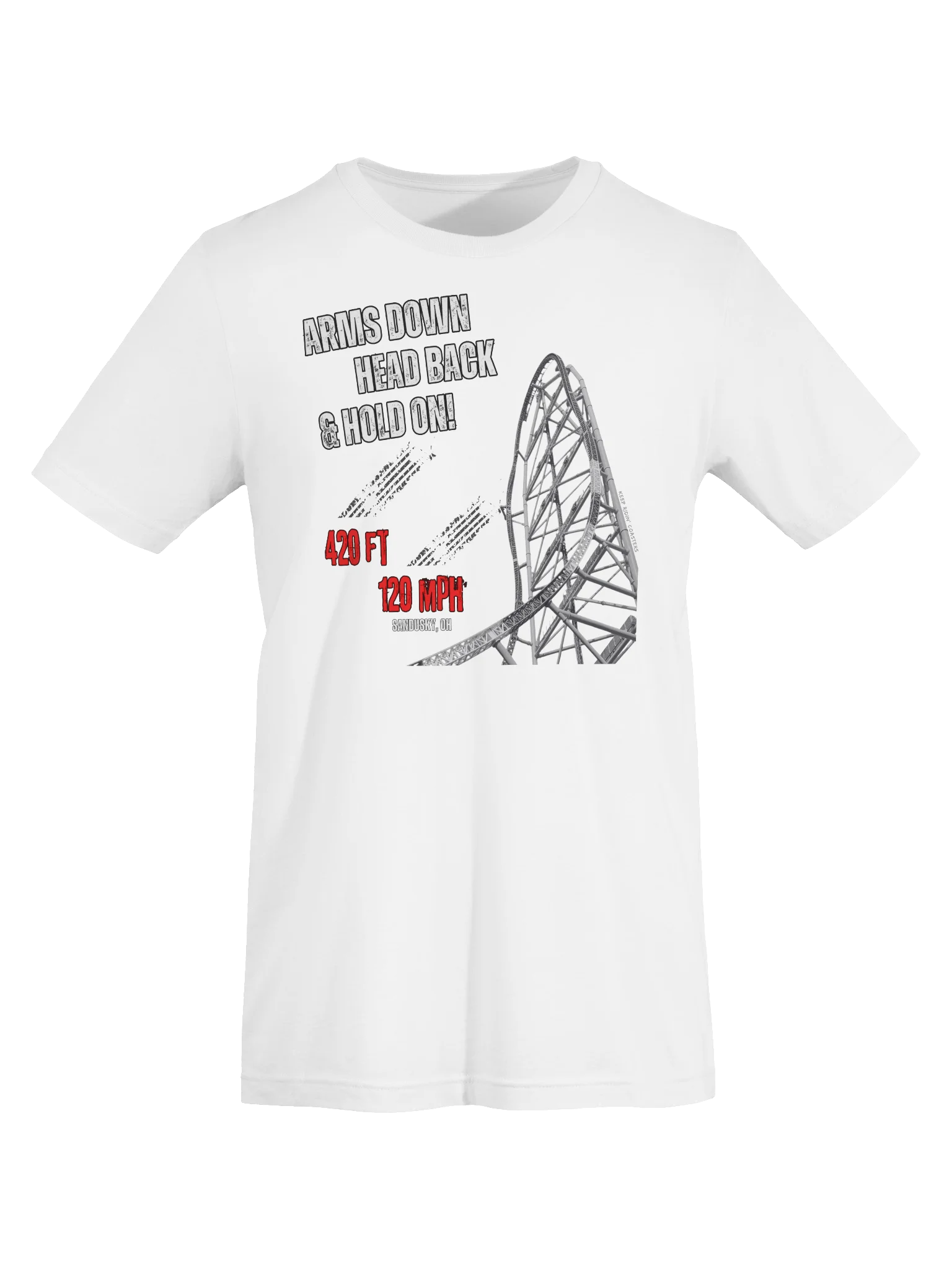 Arms Down, Head Back & Hold On - 420/120 Tee product image (31)