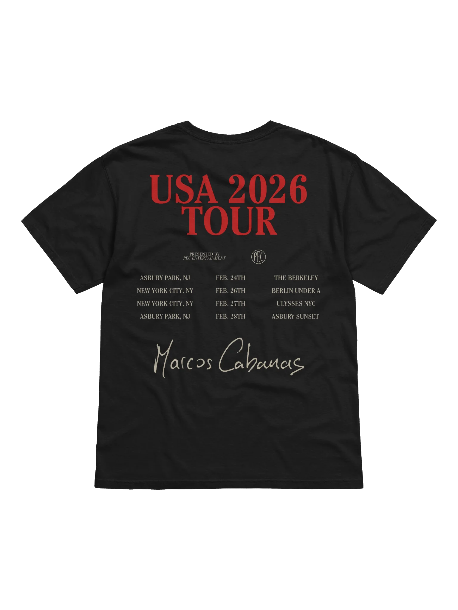 USA TOUR '26 TEE product image (2)