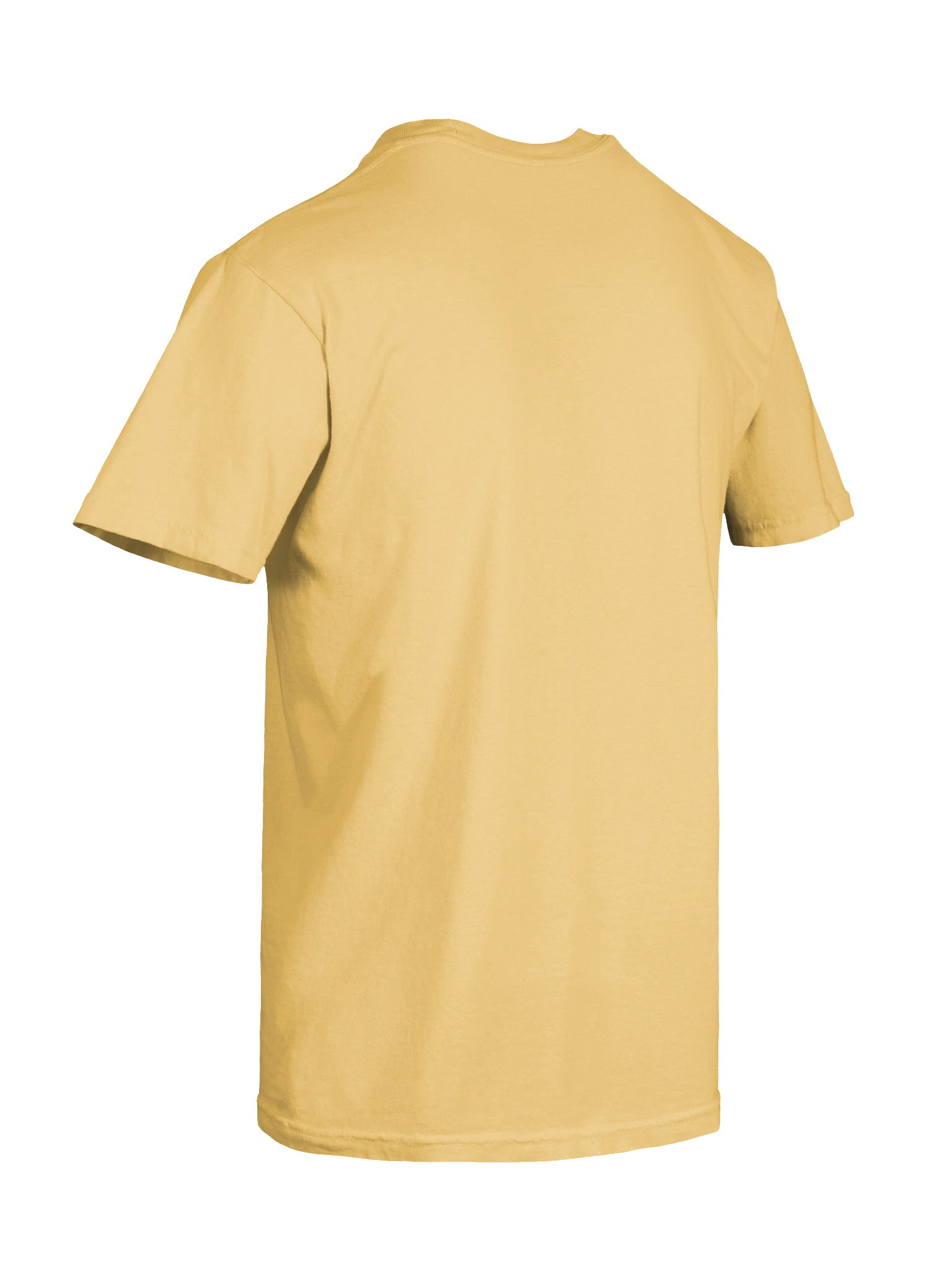 The Moldy Bigots Tee product image (56)
