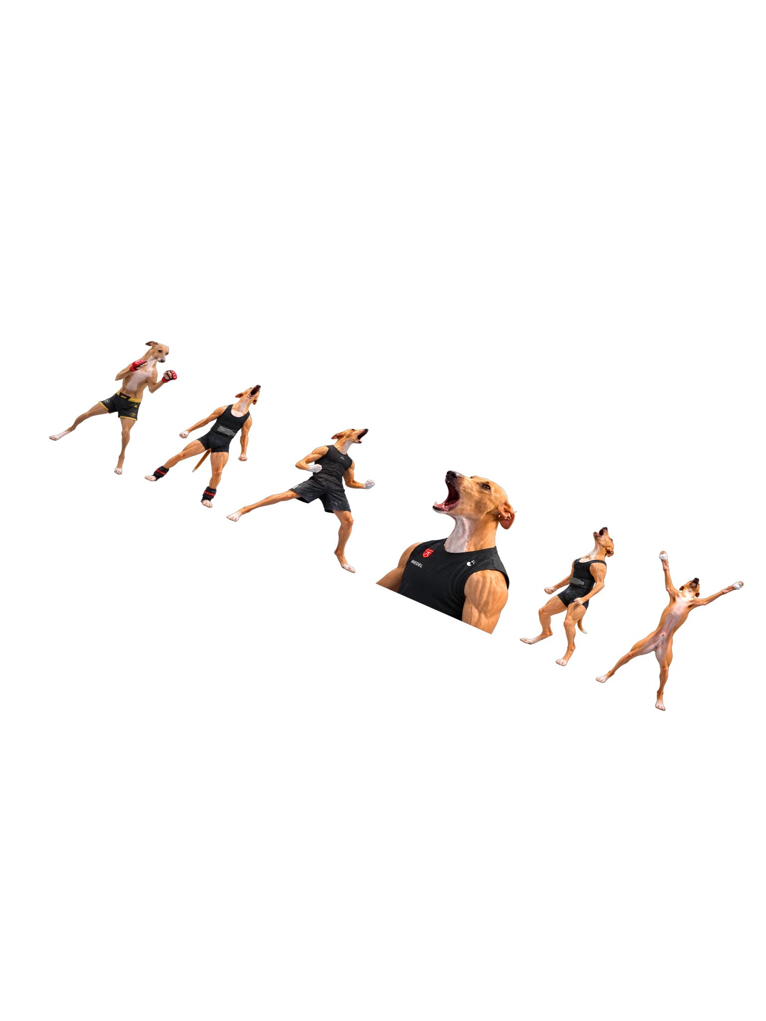 Stickers product image (1)