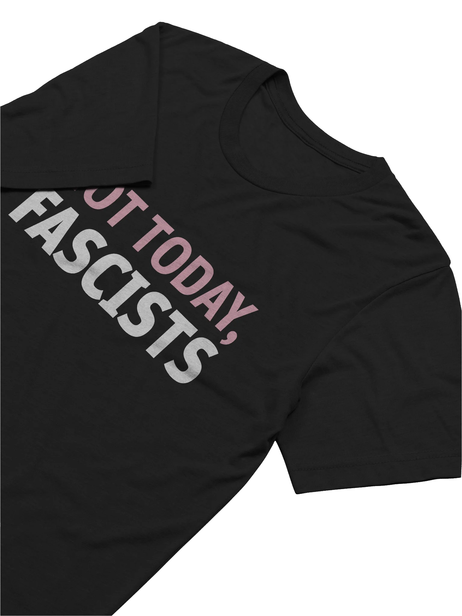 Not Today, Fascists Unisex T-Shirt product image (6)