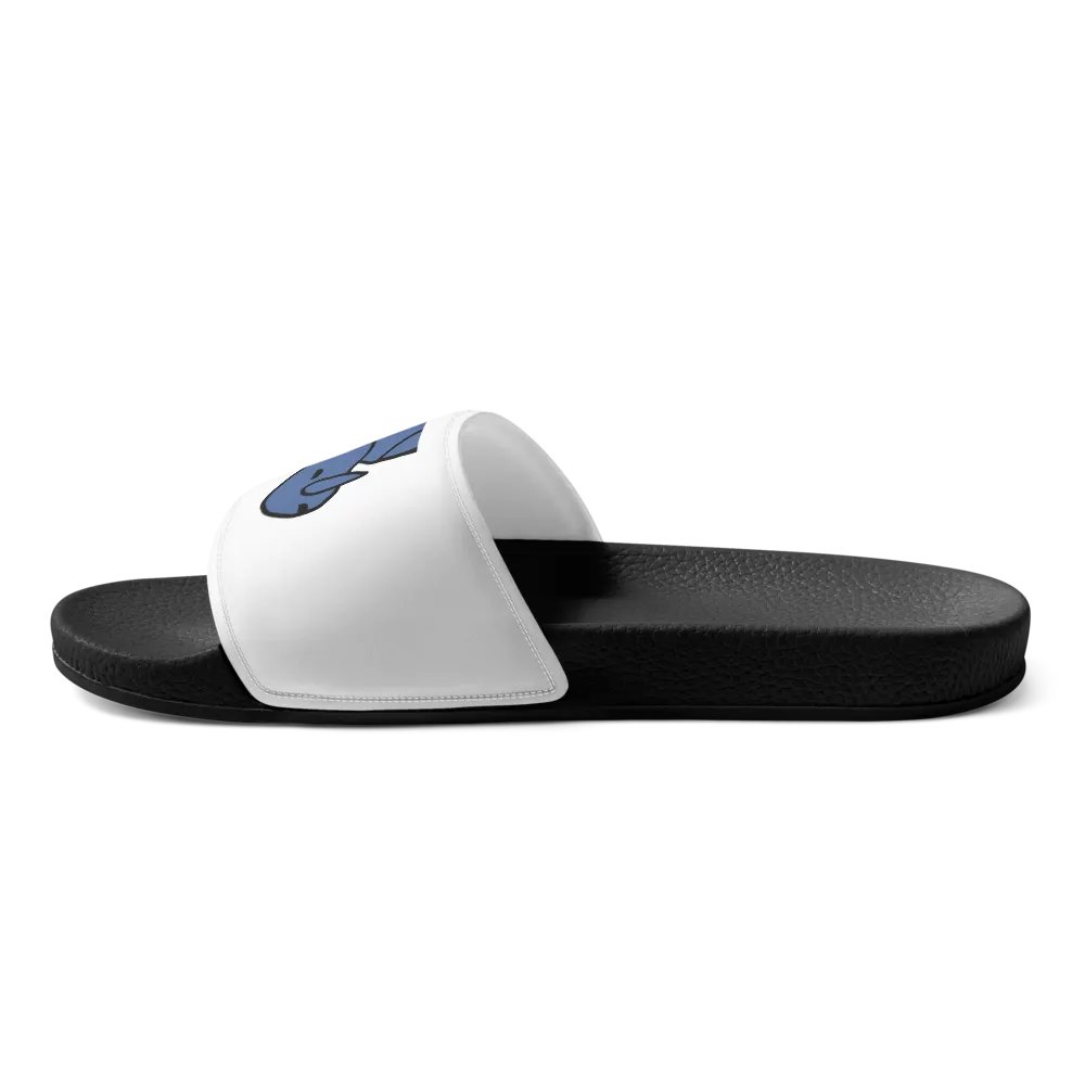 Ski Slides product image (6)