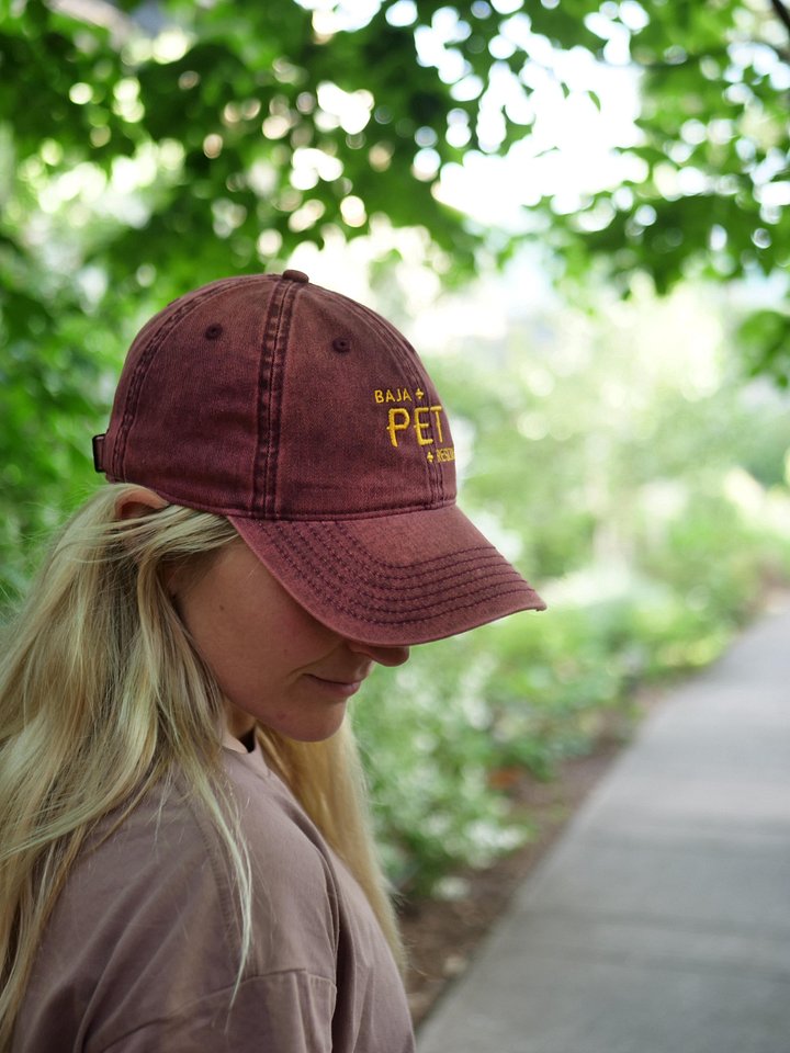 Maroon Vintage Cap product image (2)