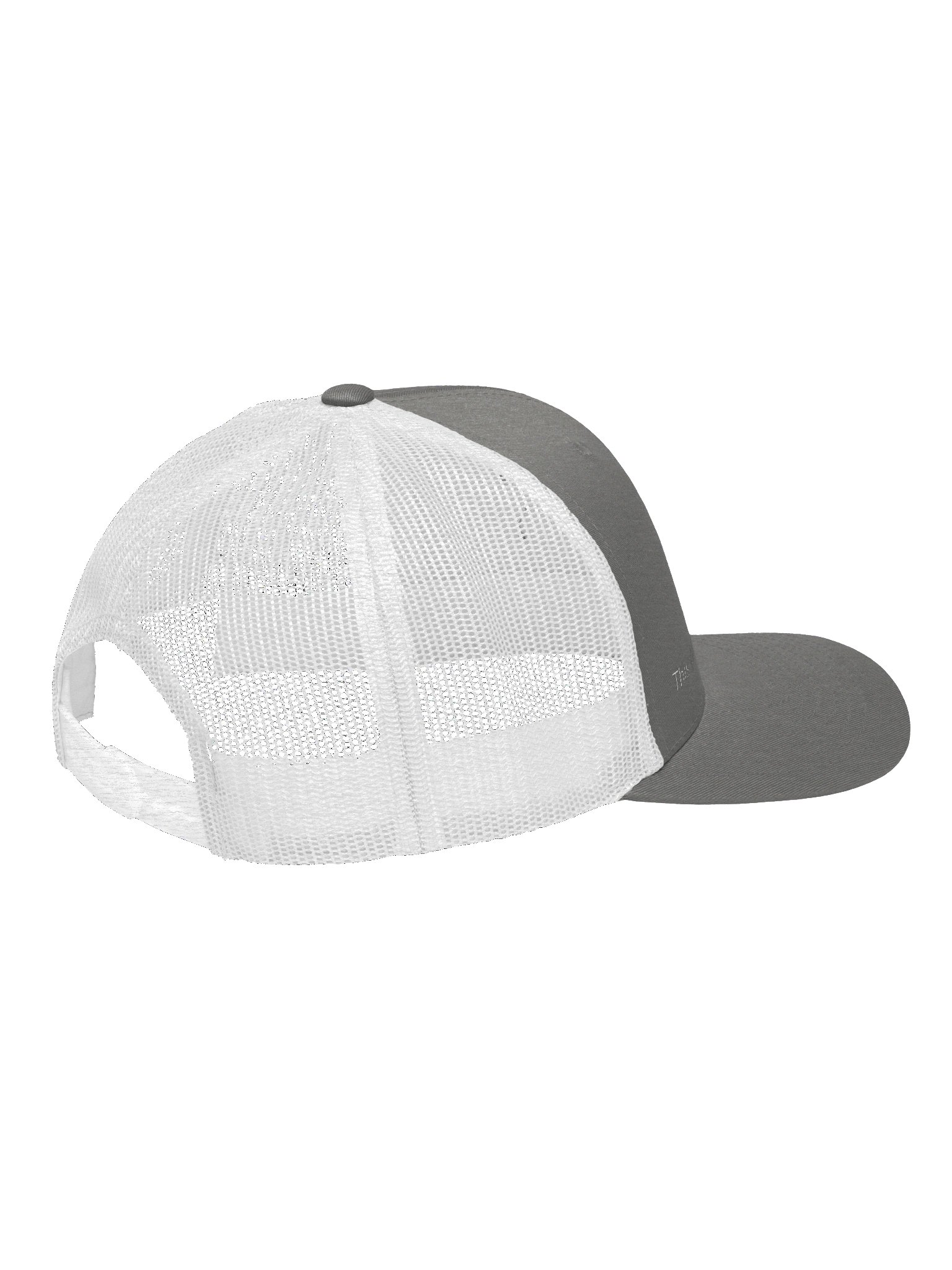 Intentionally Neutral - (No) Cap product image (14)