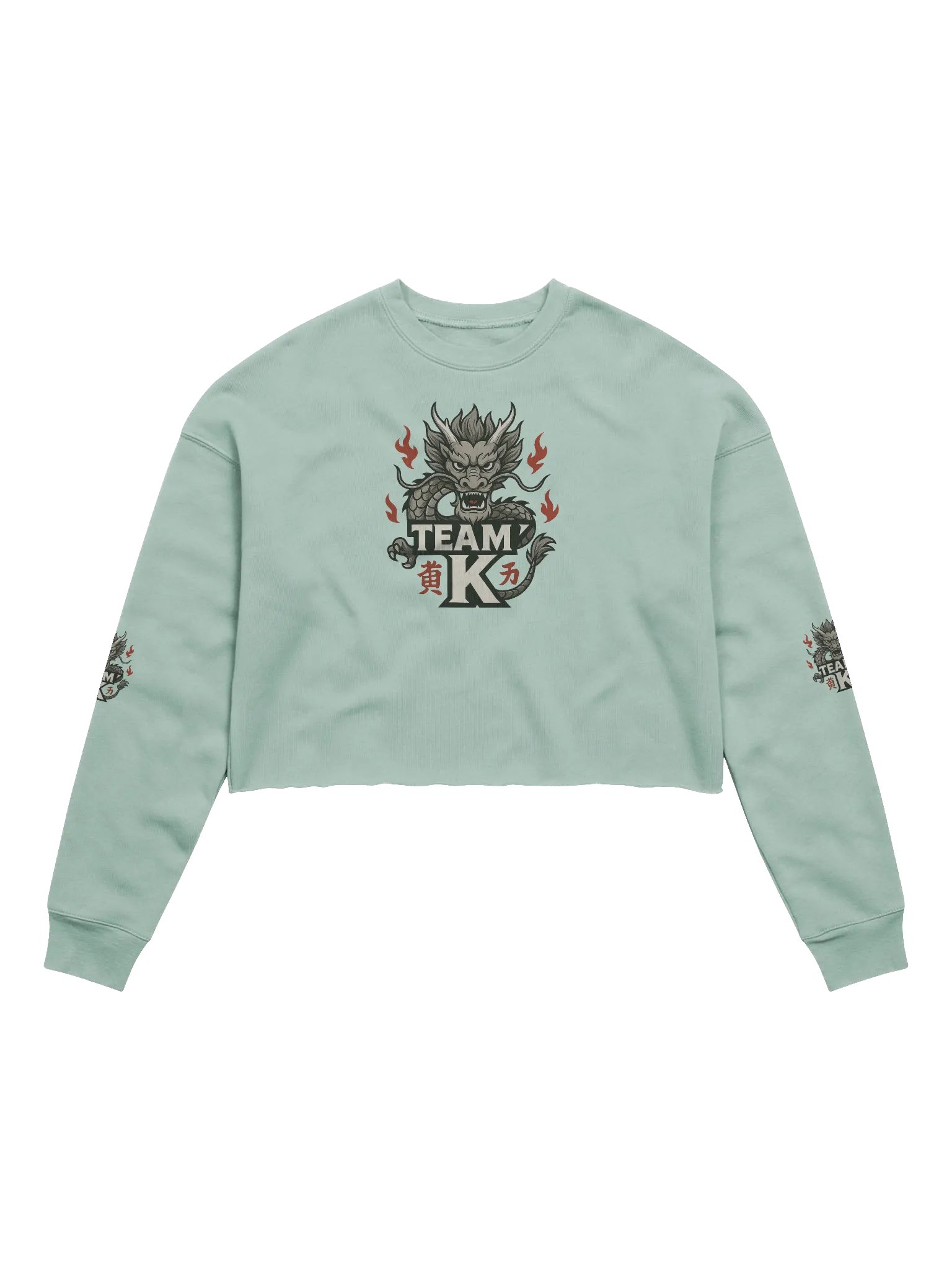 Team K China Crop Sweatshirt product image (1)