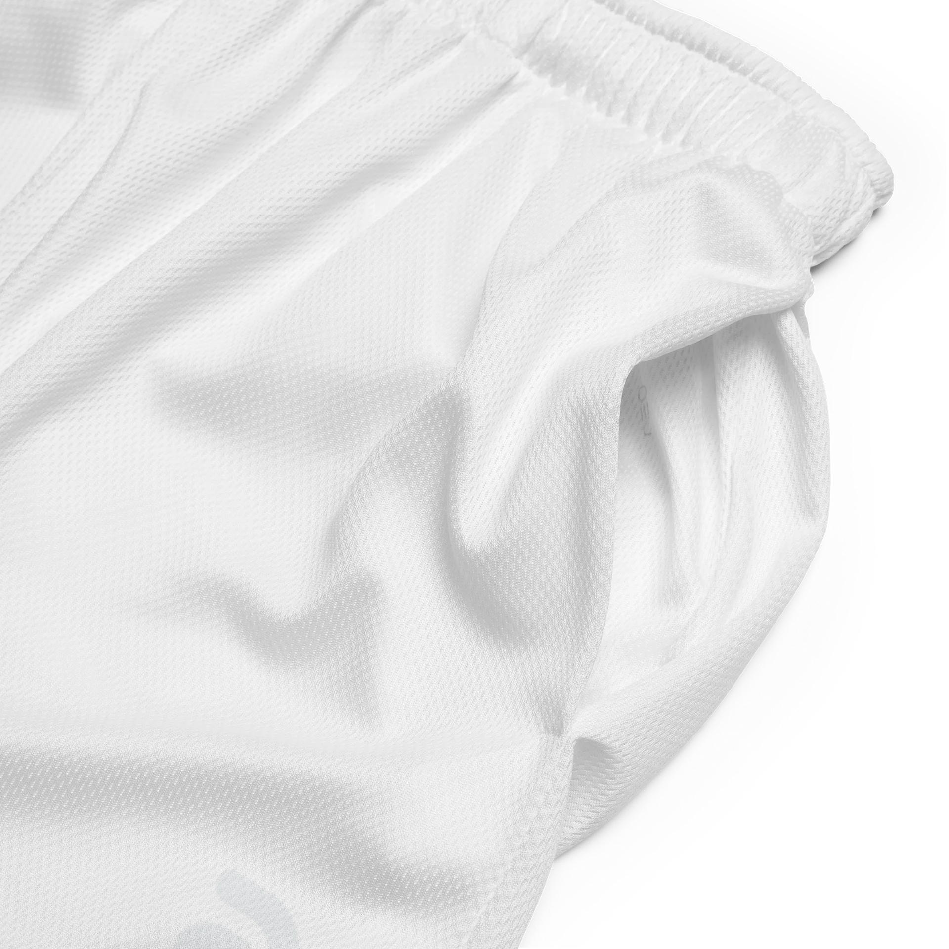 VAEO Midnight Mesh Shorts product image (5)