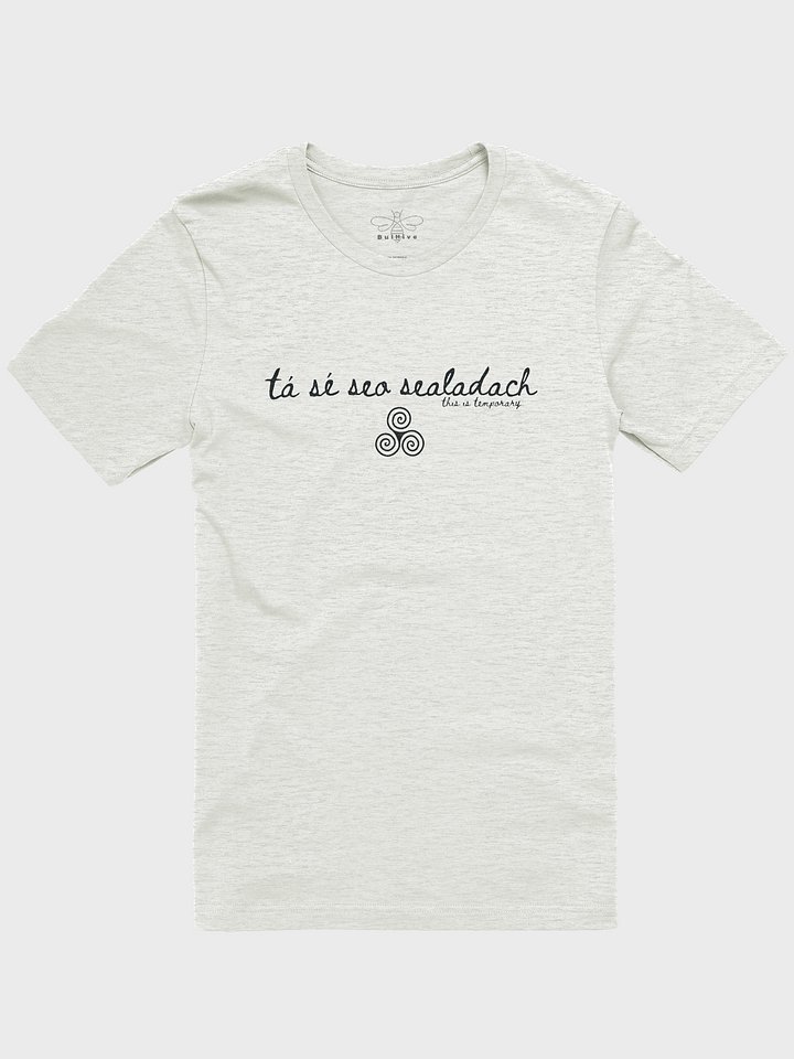 Tá Sé Seo Sealadach (This is Temporary) T-shirt Light Colors product image (1)