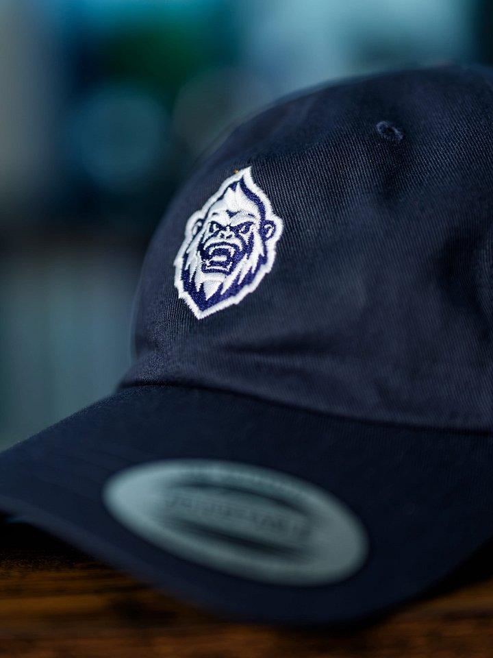 Yeti Dad Hat product image (2)