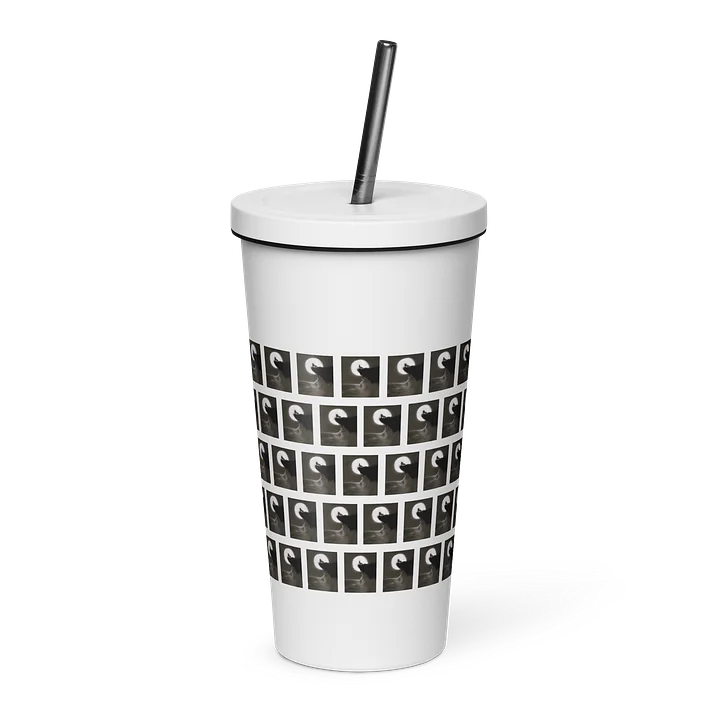 Insulated Tumbler with a Straw product image (18)
