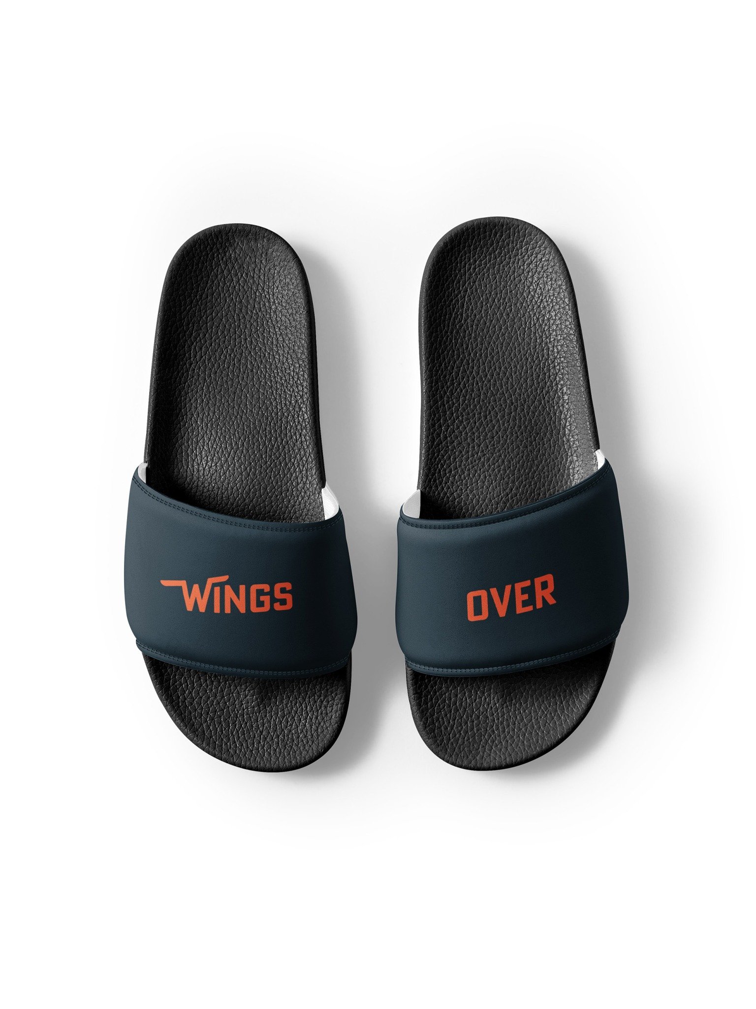 Wings Over Slides product image (1)