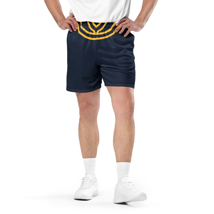 F&F Mesh Short Striker product image (1)