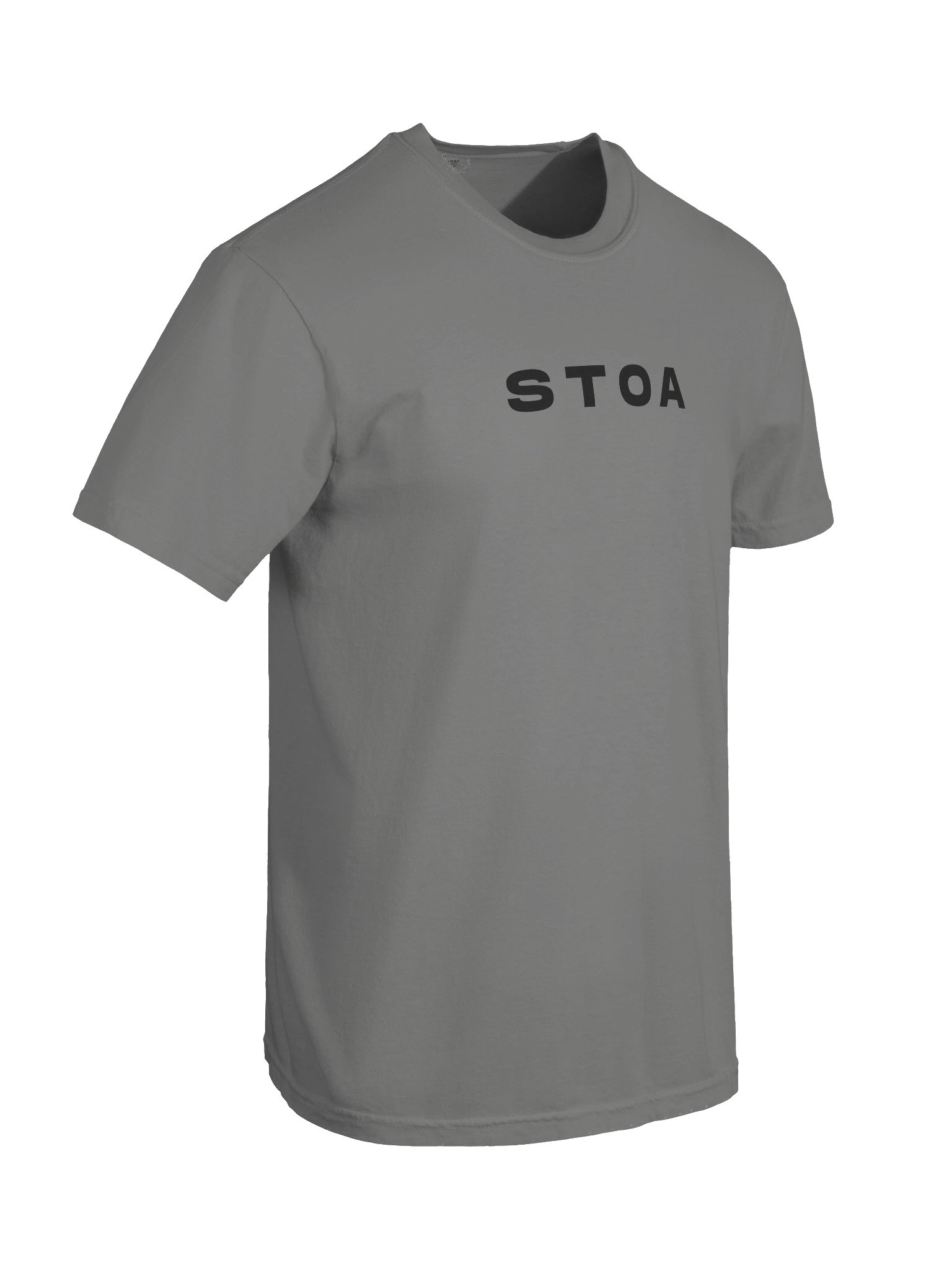 THE MANIFESTO TEE product image (8)