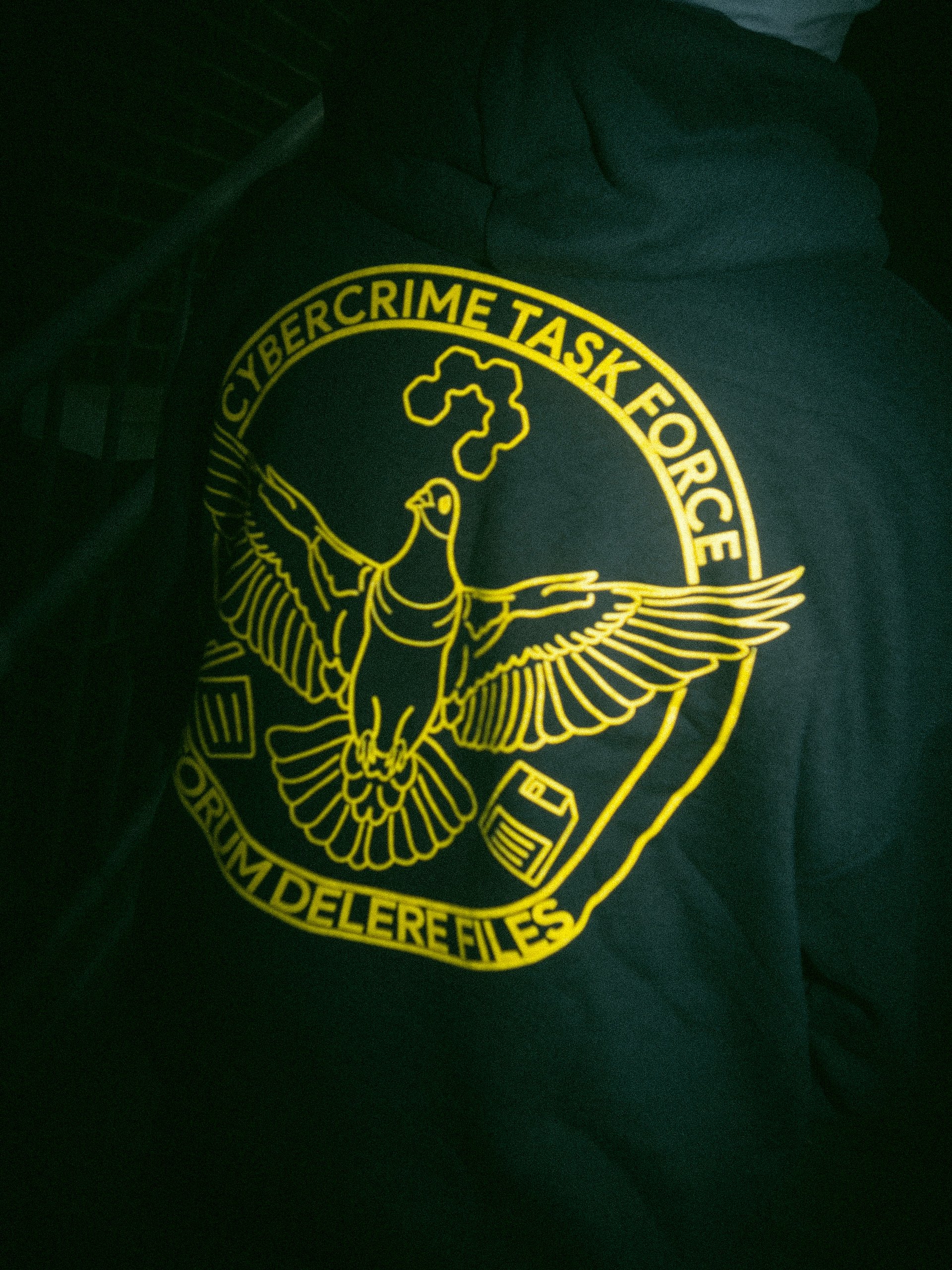 CCTF Hoodie product image (2)