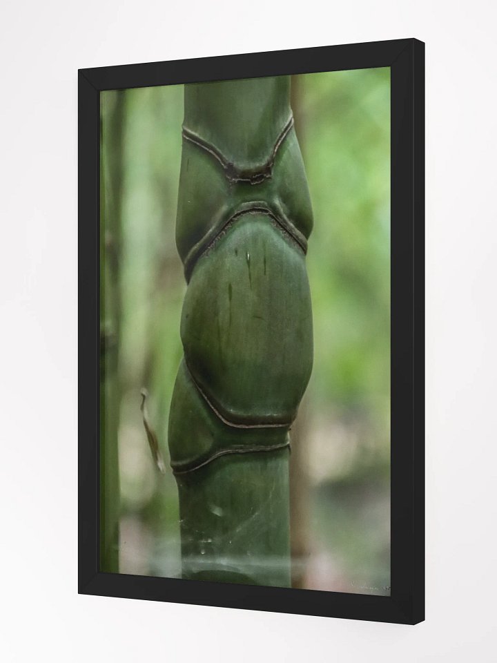 Print Fine Art – Pillar of Life | Jardin du Rayol Collection 🌱🏛️ product image (3)