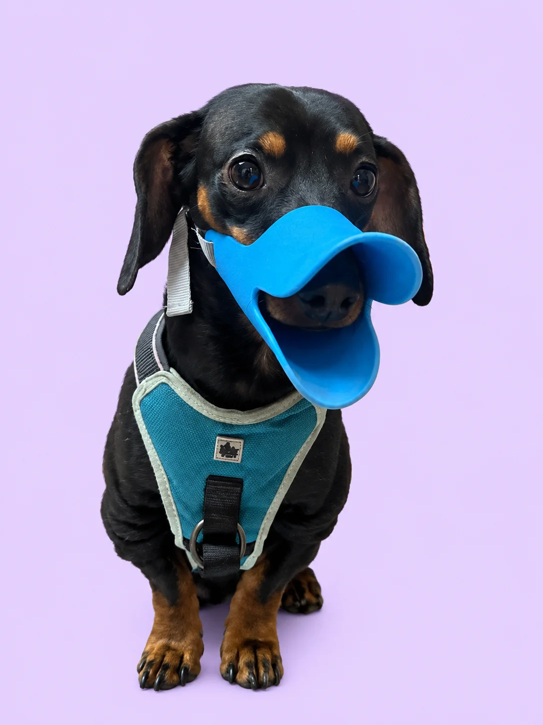 Soft Duckbill Muzzles for Small Dogs product image (1)