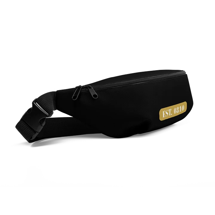 Branded Bum-Bag | Vol. 2 product image (2)