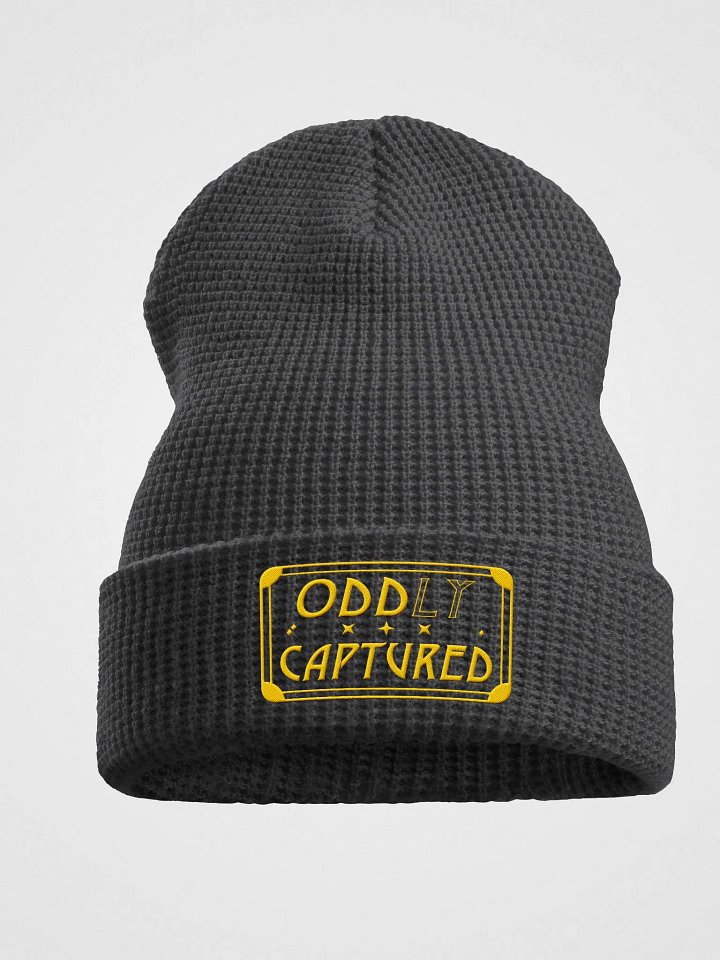 Oddly Captured Beanie (Embroidered) product image (1)