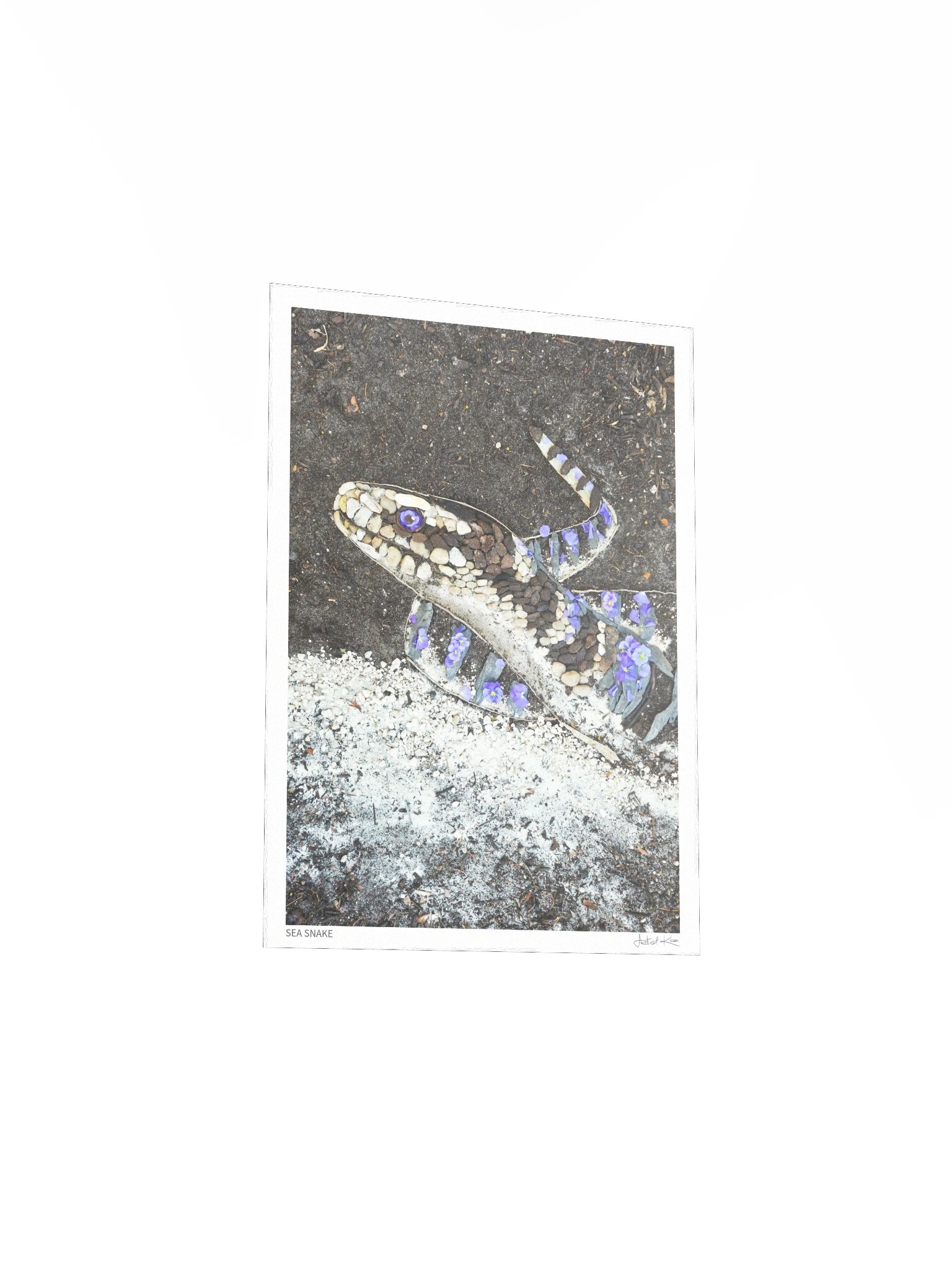 SEA SNAKE | Fine Art Print product image (4)
