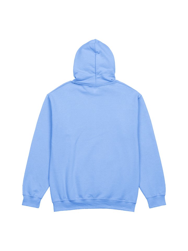 Always Freezing Hoodie product image (26)