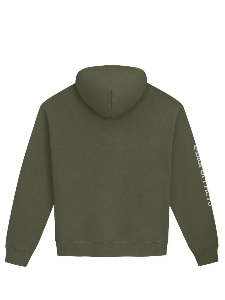 i'm just a boy Hoodie product image (3)