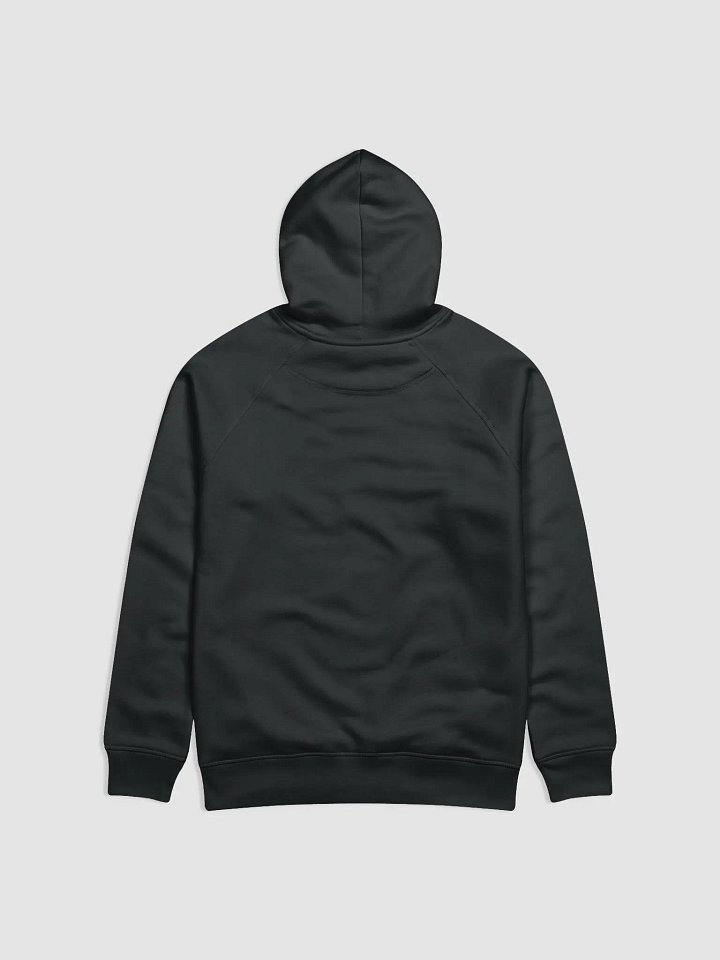 SCS STREAM TEAM ECO HOODIE product image (2)