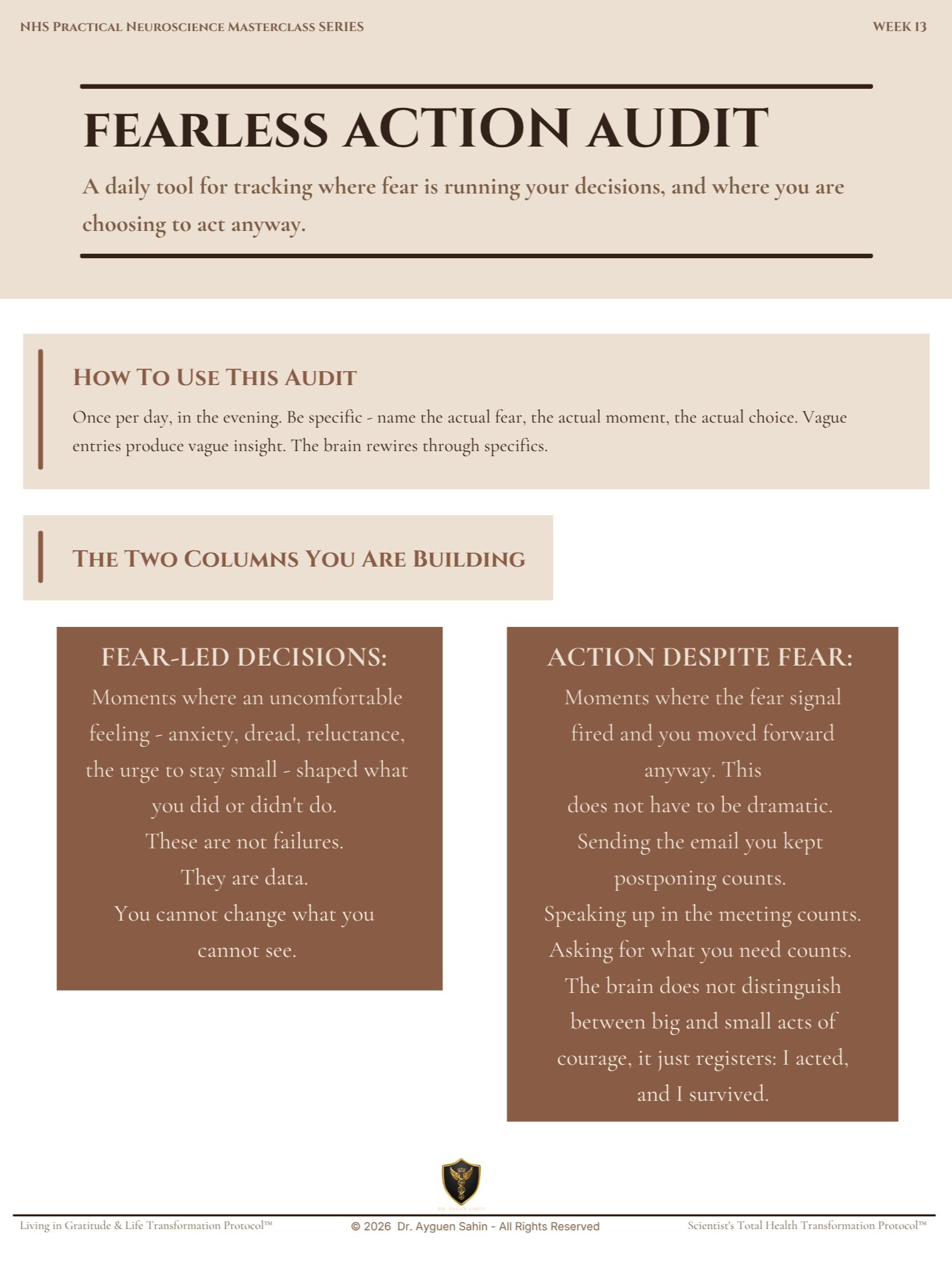 FEARLESS AUCTION AUDIT product image (2)