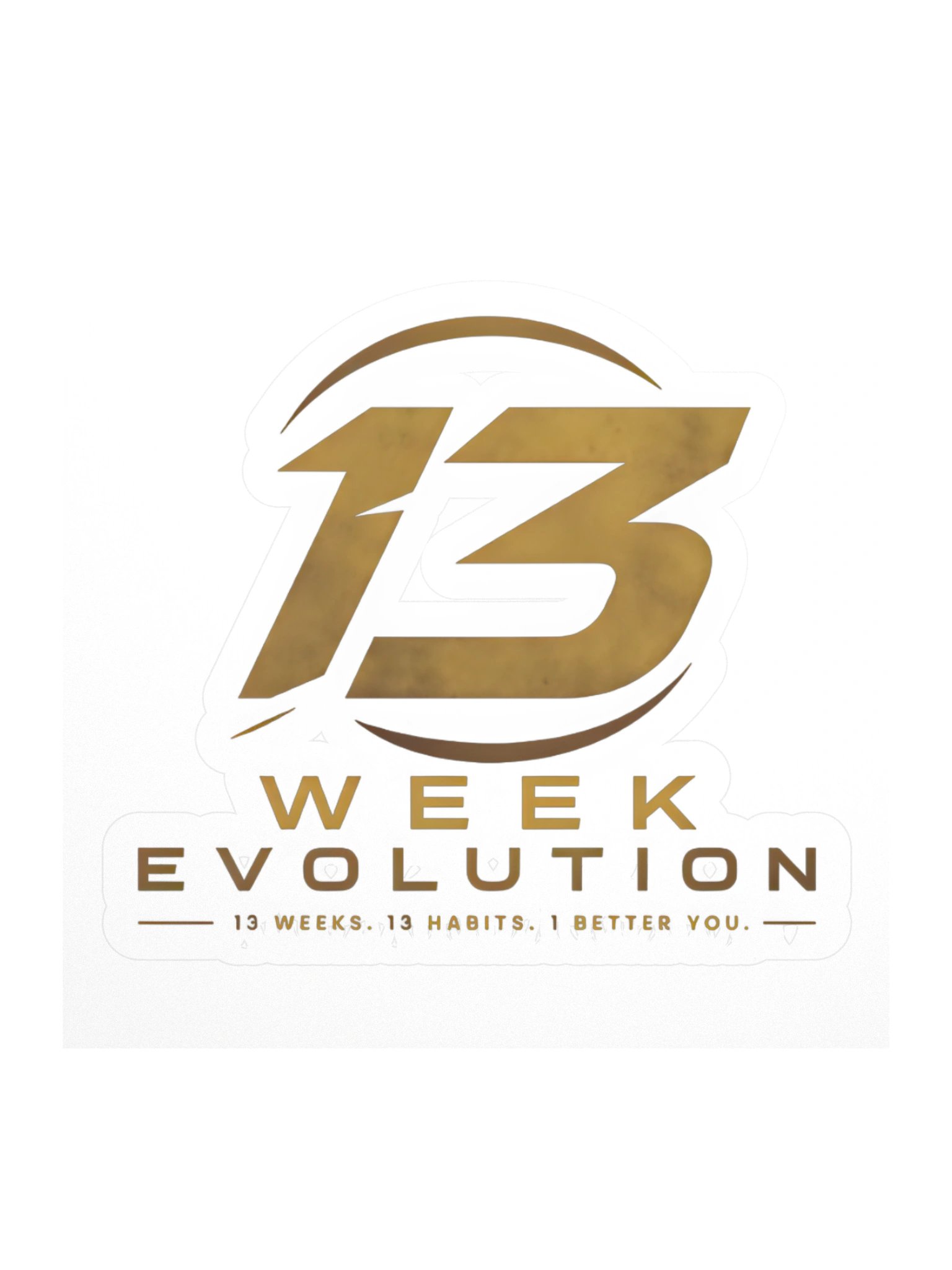 EVOLVE Die-Cut Sticker Pack product image (1)