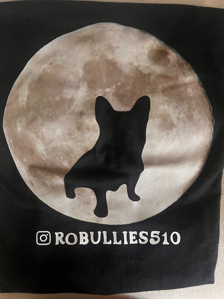 ORIGINAL BULLIES TEE (LUCCI) product image (1)