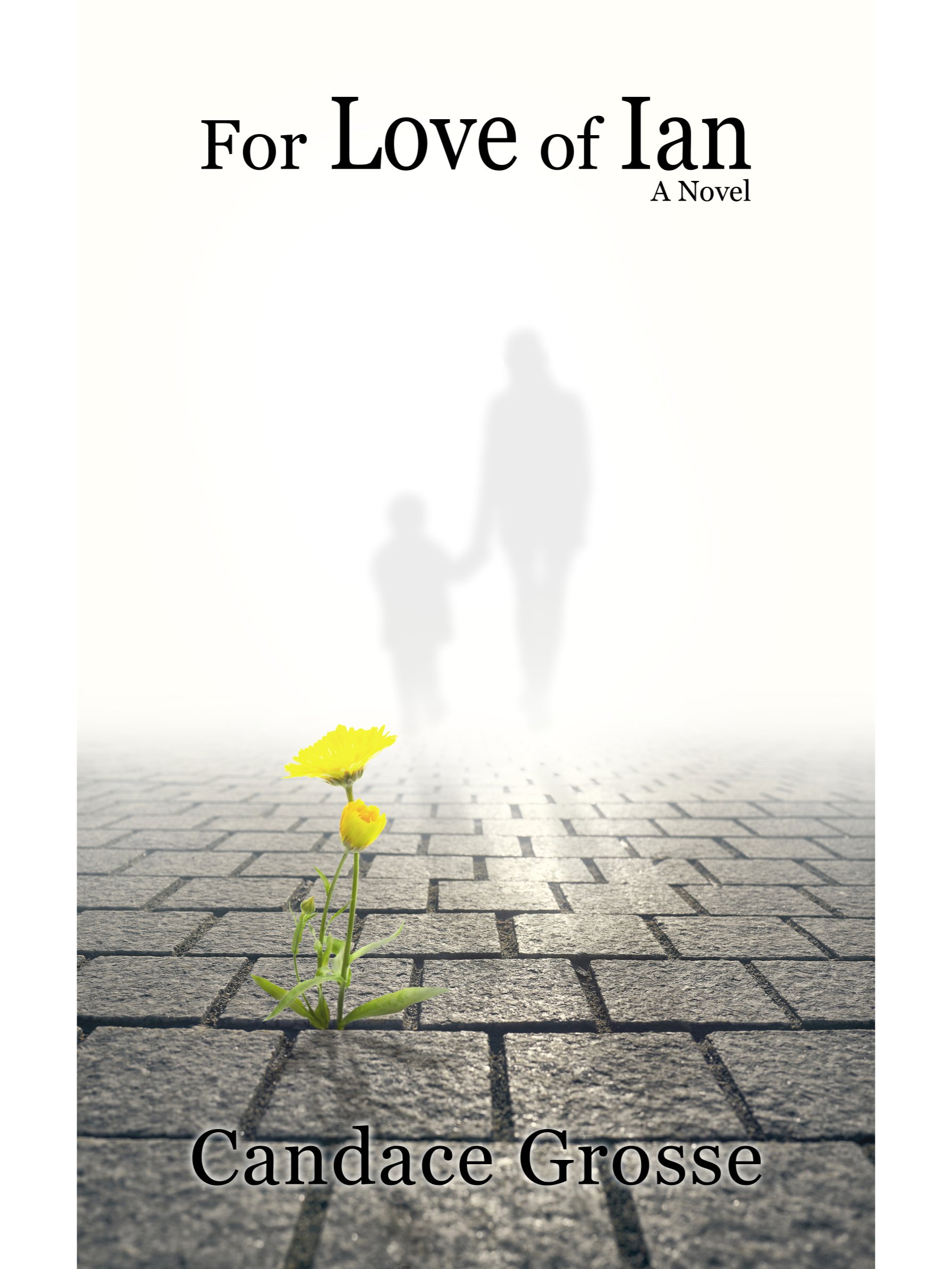 For Love of Ian: A Novel product image (2)