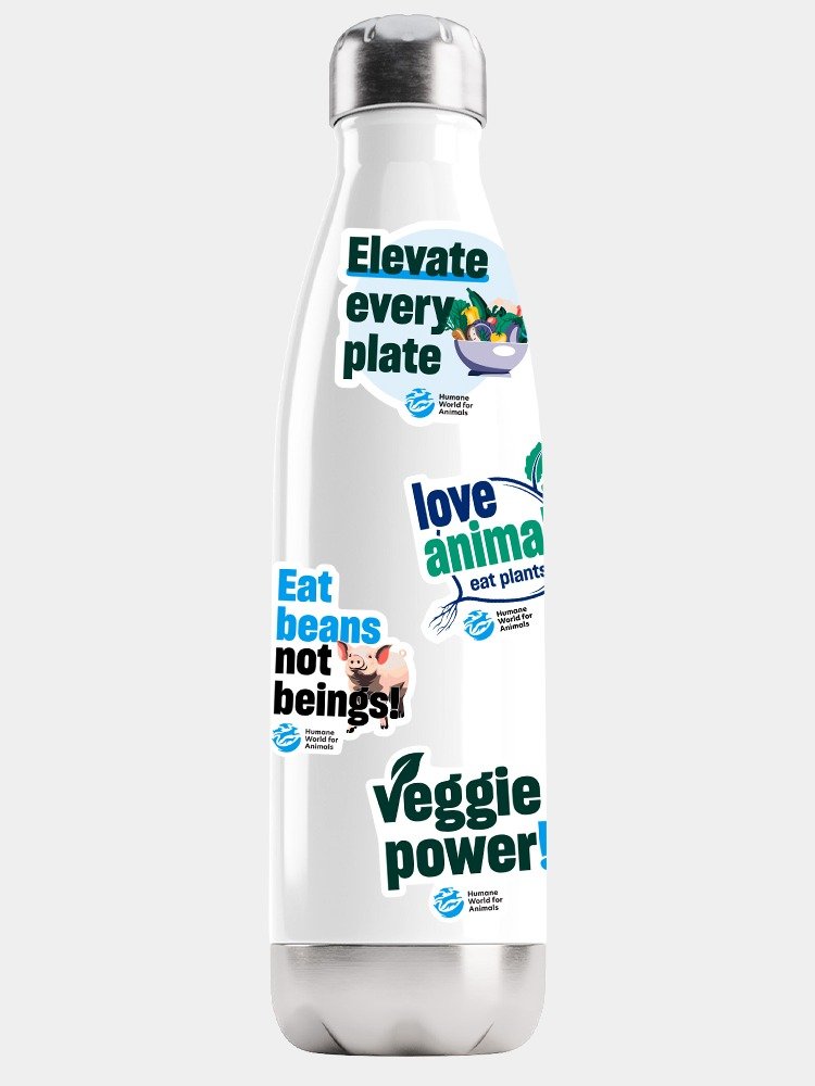 Plant-based eating stickers – Set of 4 product image (1)