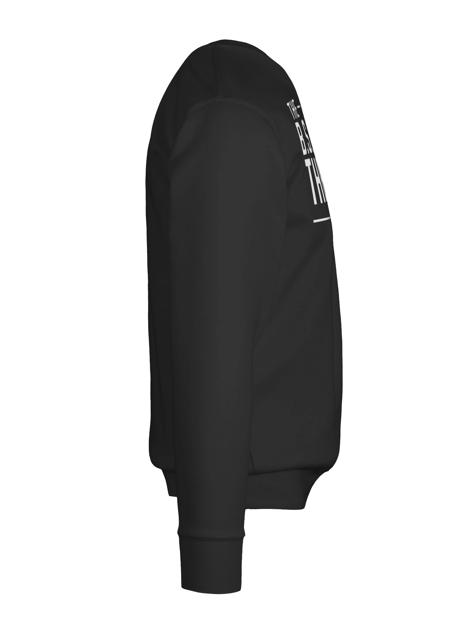 B.S.ing With The Guys Bold Logo sweatshirt product image (10)
