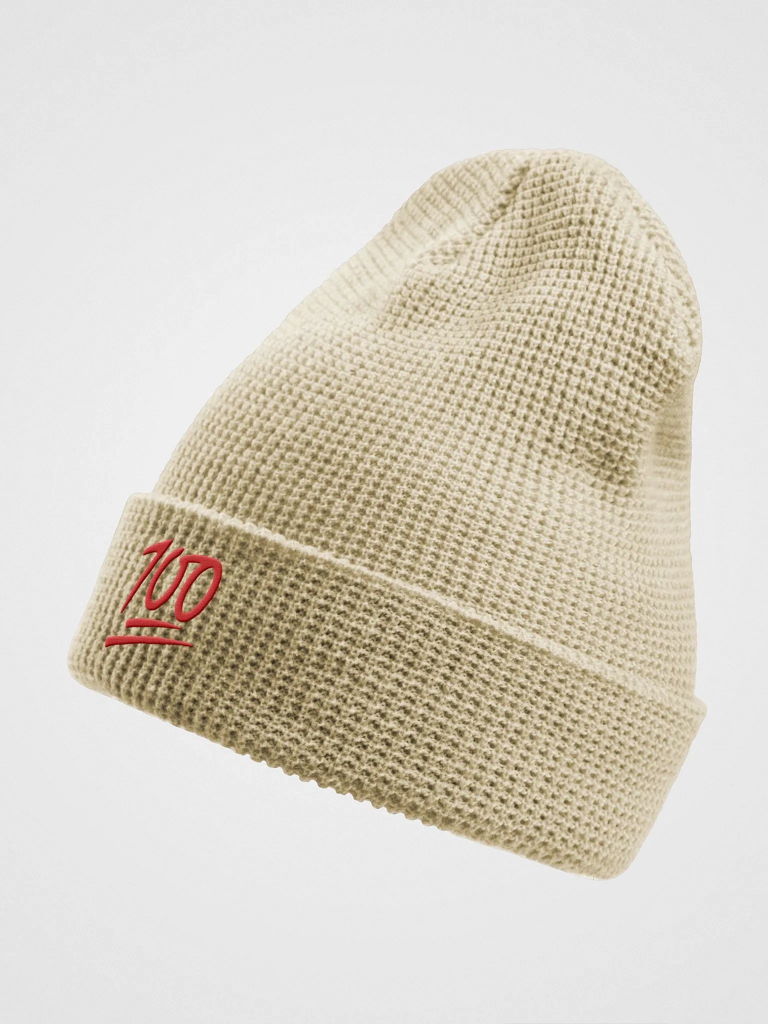 100 Embroided Bennie Hat By Nopa product image (2)