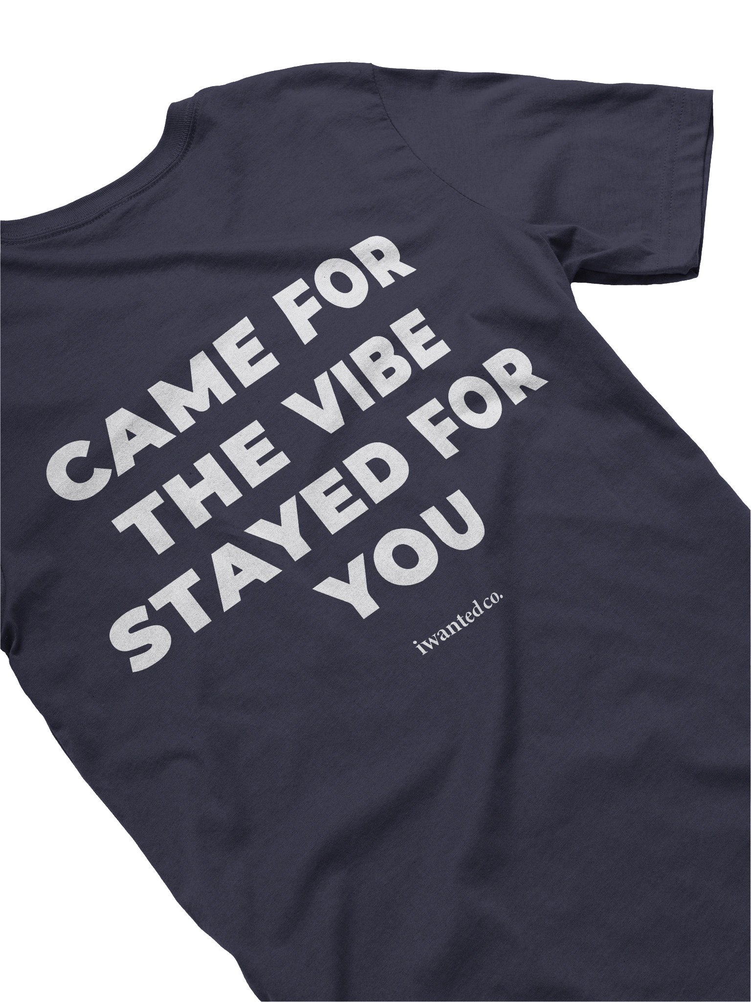 Came For The Vibe Stayed For You T-Shirt product image (2)