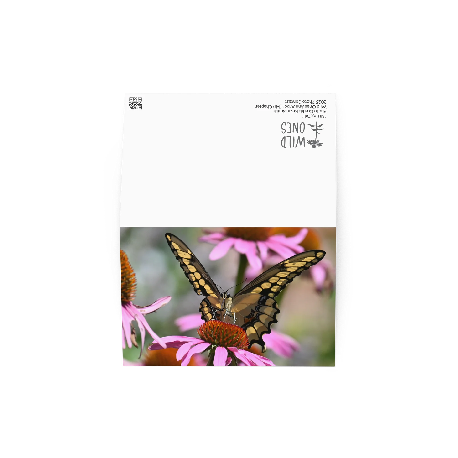 "Sitting Tall" (Blank Card) product image (3)