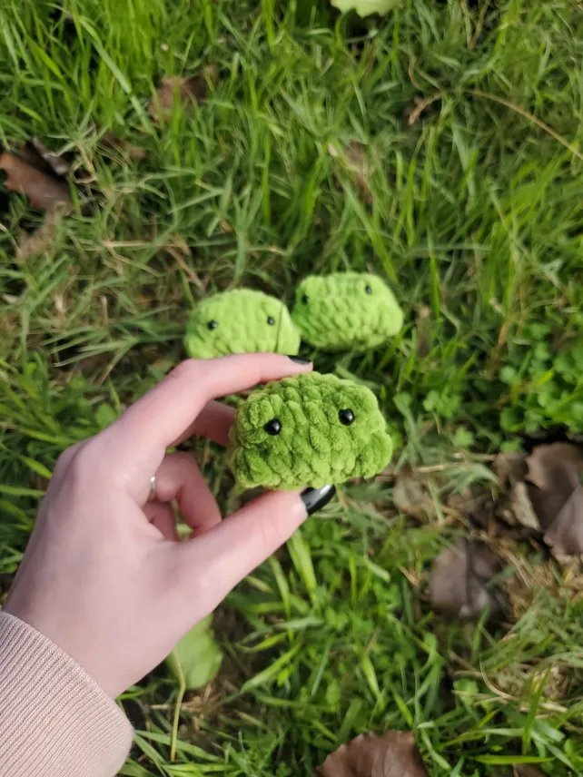 Pocket Frog product image (2)