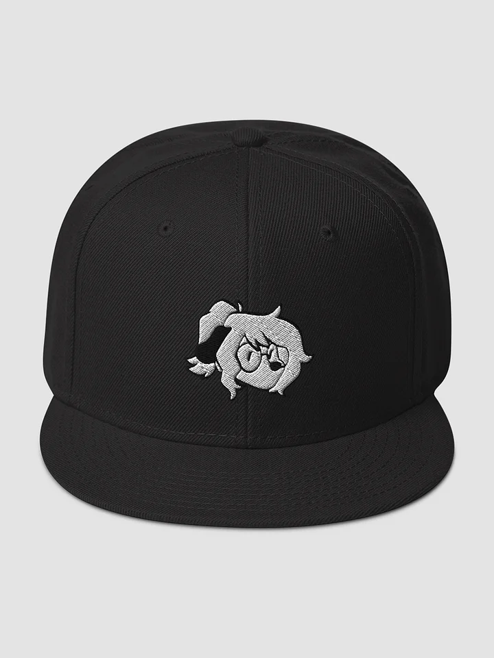 Iconic Lumi - Snapback product image (1)