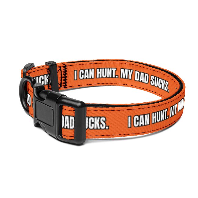 Dog Collars
