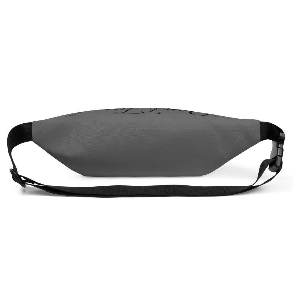Fanny Pack product image (3)
