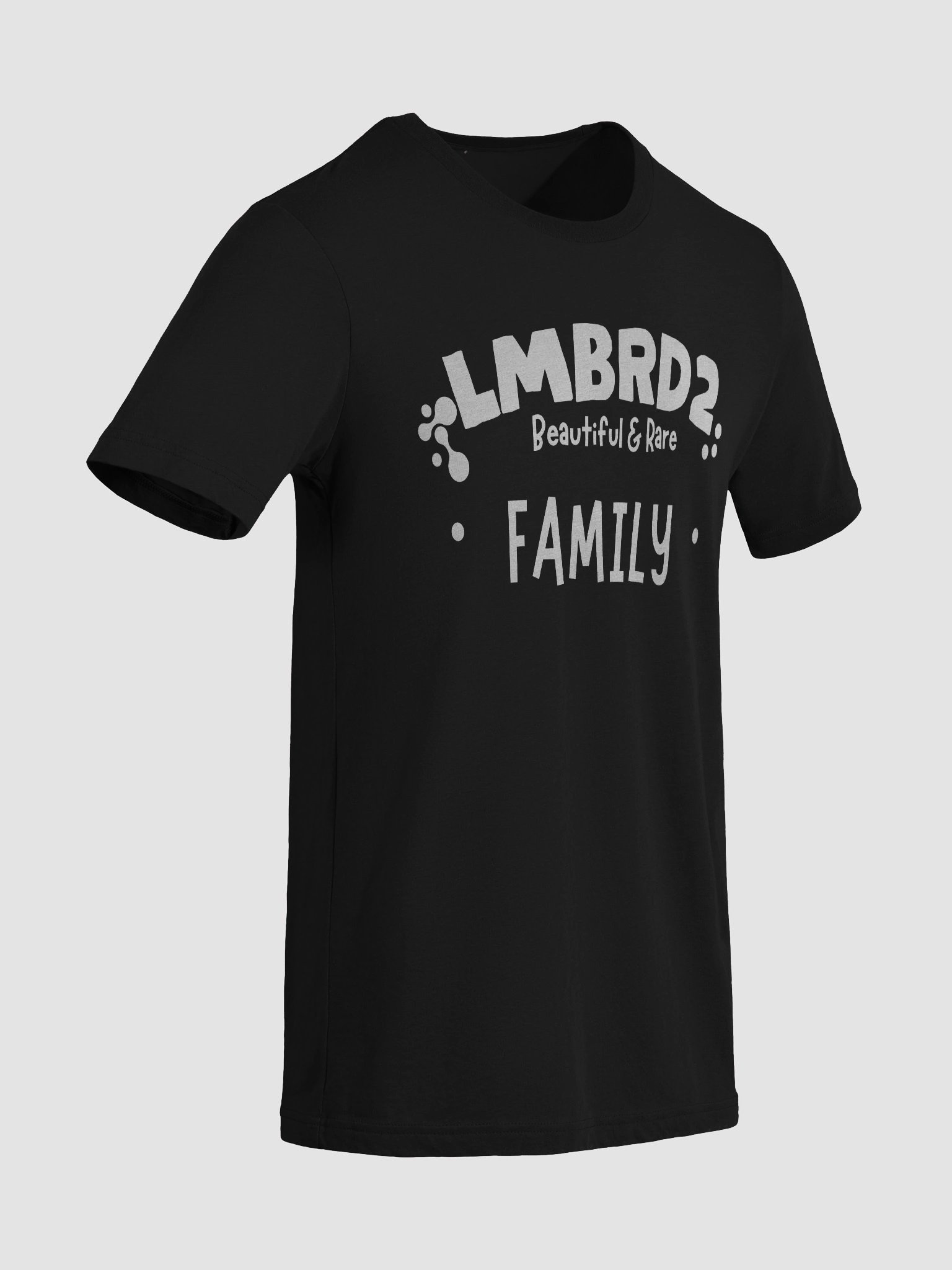 LMBRD2 Triblend Short Sleeve T-Shirt - FAMILY product image (2)